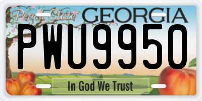 GA license plate PWU9950