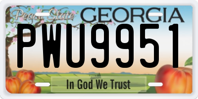 GA license plate PWU9951