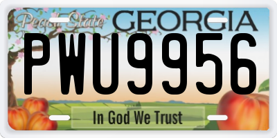 GA license plate PWU9956