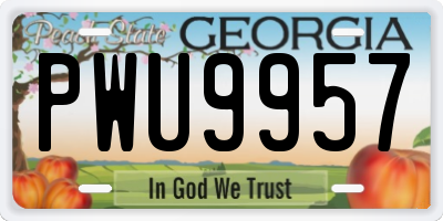 GA license plate PWU9957