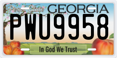 GA license plate PWU9958