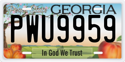 GA license plate PWU9959