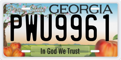 GA license plate PWU9961