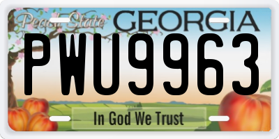 GA license plate PWU9963