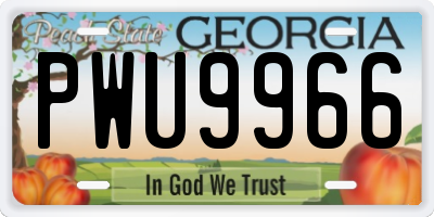 GA license plate PWU9966