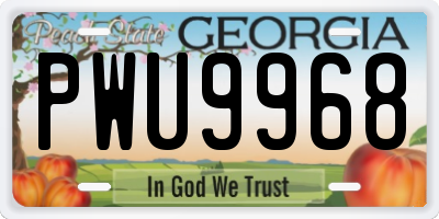 GA license plate PWU9968