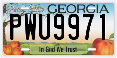 GA license plate PWU9971