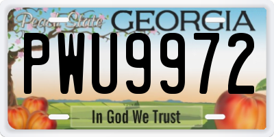 GA license plate PWU9972