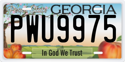 GA license plate PWU9975