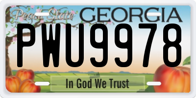 GA license plate PWU9978