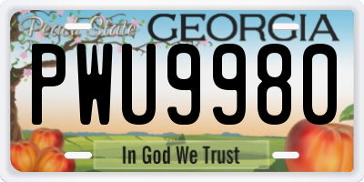 GA license plate PWU9980