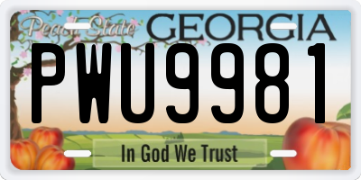 GA license plate PWU9981