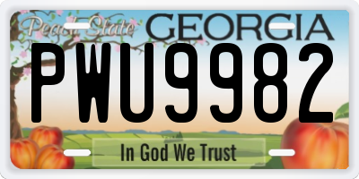 GA license plate PWU9982