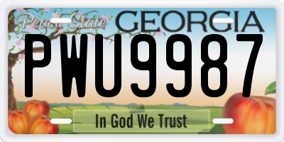 GA license plate PWU9987