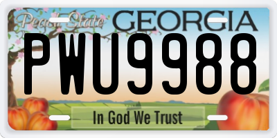 GA license plate PWU9988