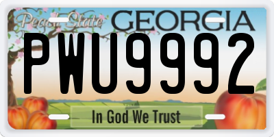 GA license plate PWU9992