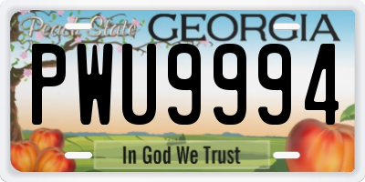 GA license plate PWU9994