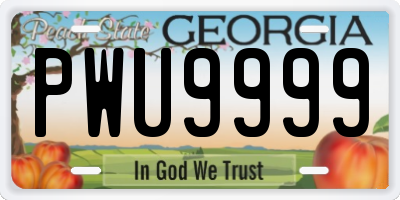 GA license plate PWU9999