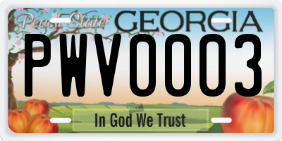 GA license plate PWV0003