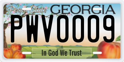 GA license plate PWV0009