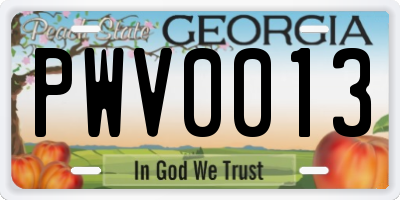 GA license plate PWV0013