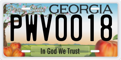 GA license plate PWV0018
