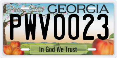 GA license plate PWV0023