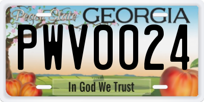 GA license plate PWV0024
