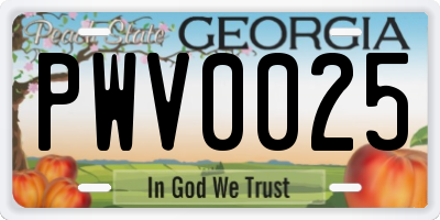GA license plate PWV0025