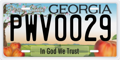 GA license plate PWV0029