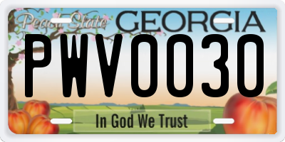 GA license plate PWV0030