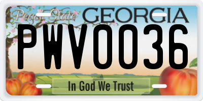 GA license plate PWV0036