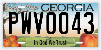 GA license plate PWV0043
