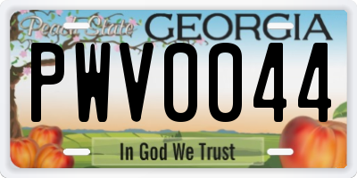 GA license plate PWV0044