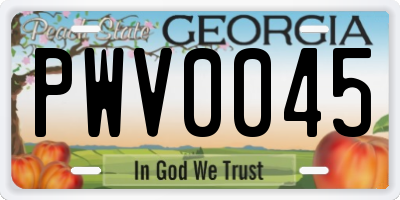 GA license plate PWV0045