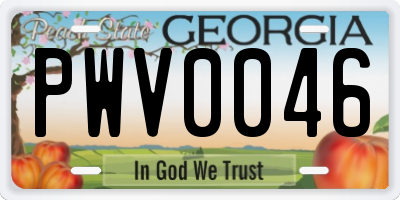 GA license plate PWV0046