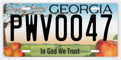 GA license plate PWV0047