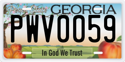 GA license plate PWV0059