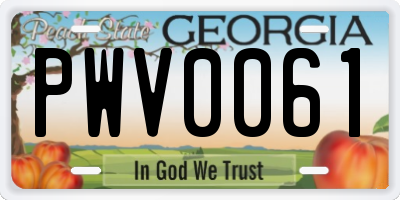 GA license plate PWV0061