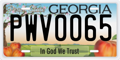 GA license plate PWV0065