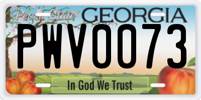 GA license plate PWV0073