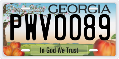 GA license plate PWV0089