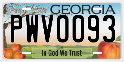 GA license plate PWV0093