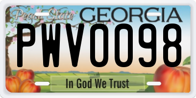 GA license plate PWV0098
