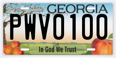 GA license plate PWV0100