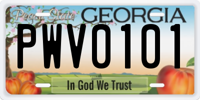 GA license plate PWV0101