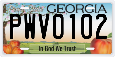 GA license plate PWV0102