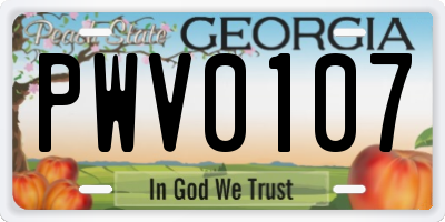 GA license plate PWV0107