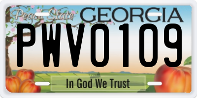 GA license plate PWV0109