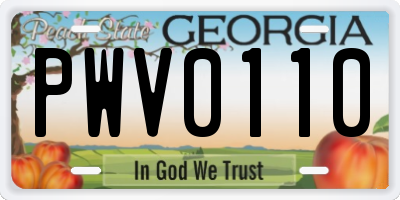 GA license plate PWV0110